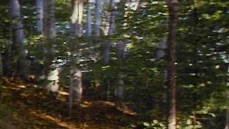 Кадры из сериала Театр Рэя Брэдбери (1985)