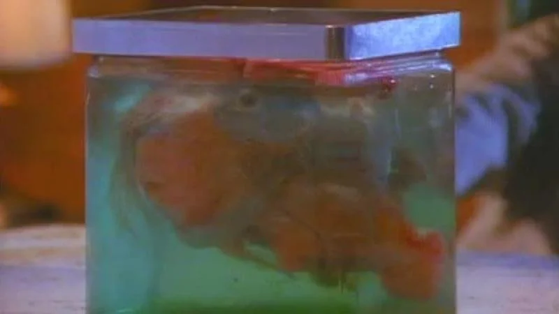 Кадры из сериала Театр Рэя Брэдбери (1985)